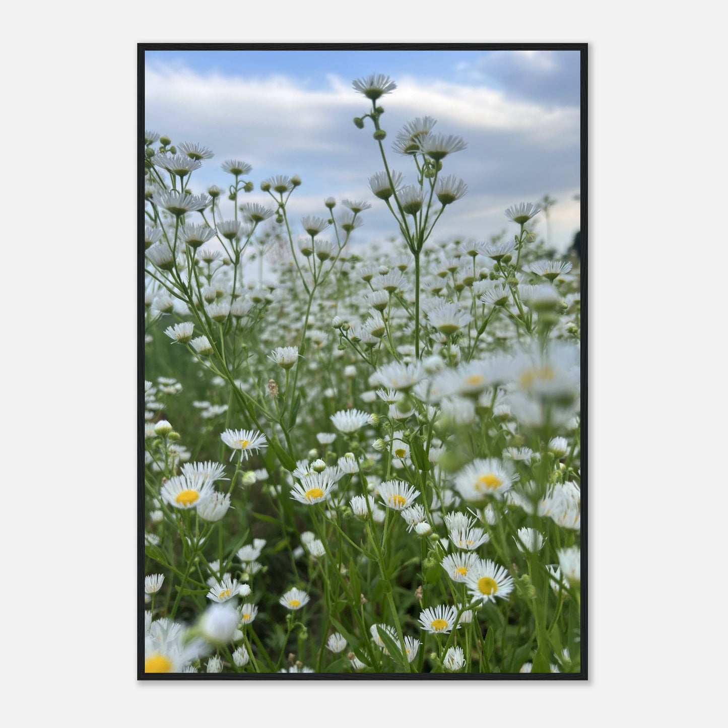 Luminous Peace - Framed Poster - JDivine