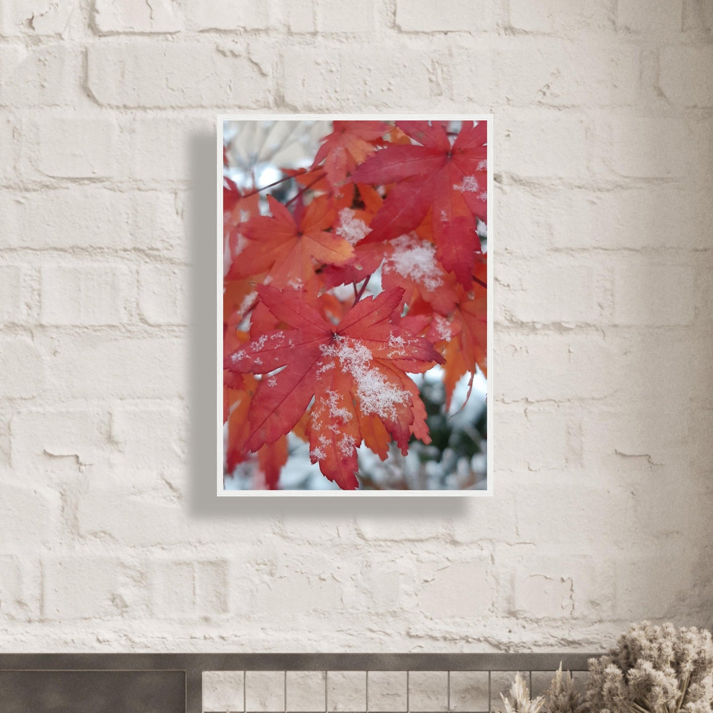 Snow-Kissed Maple Leaves - Framed Poster - JDivine