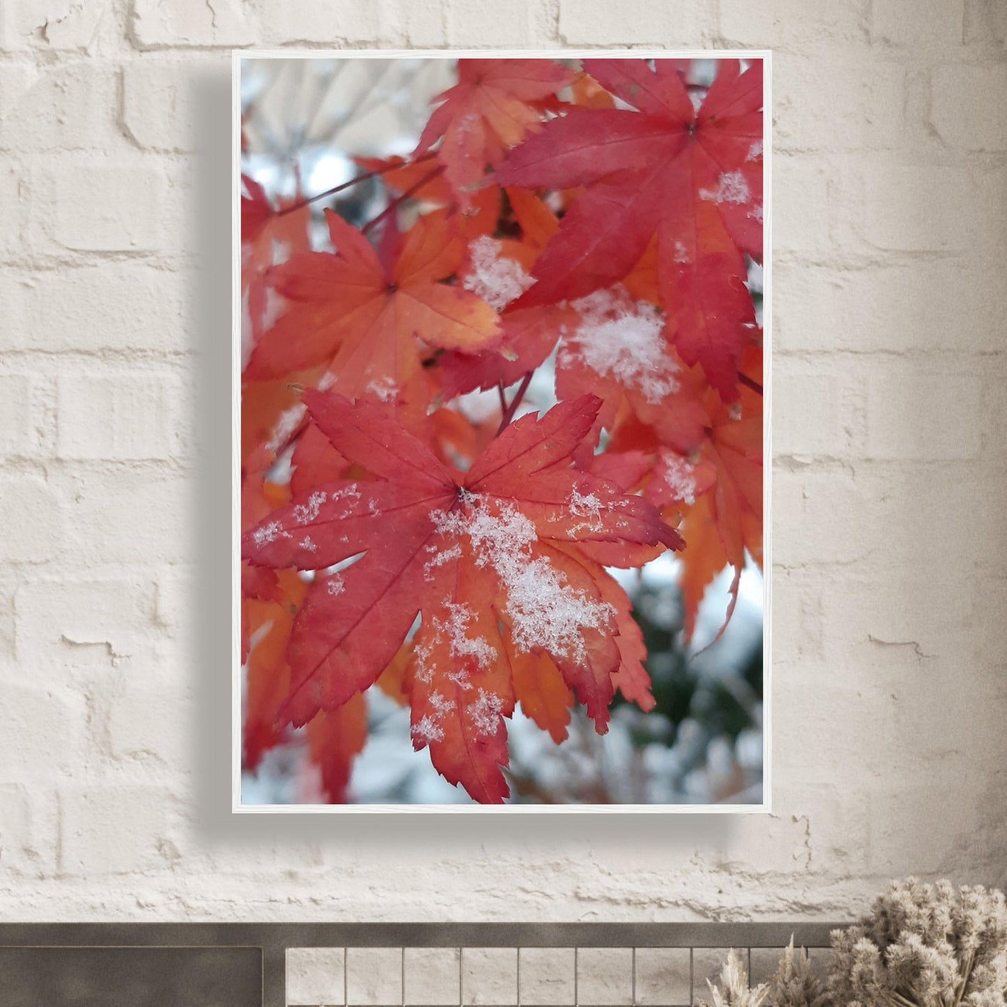 Snow-Kissed Maple Leaves - Framed Poster - JDivine