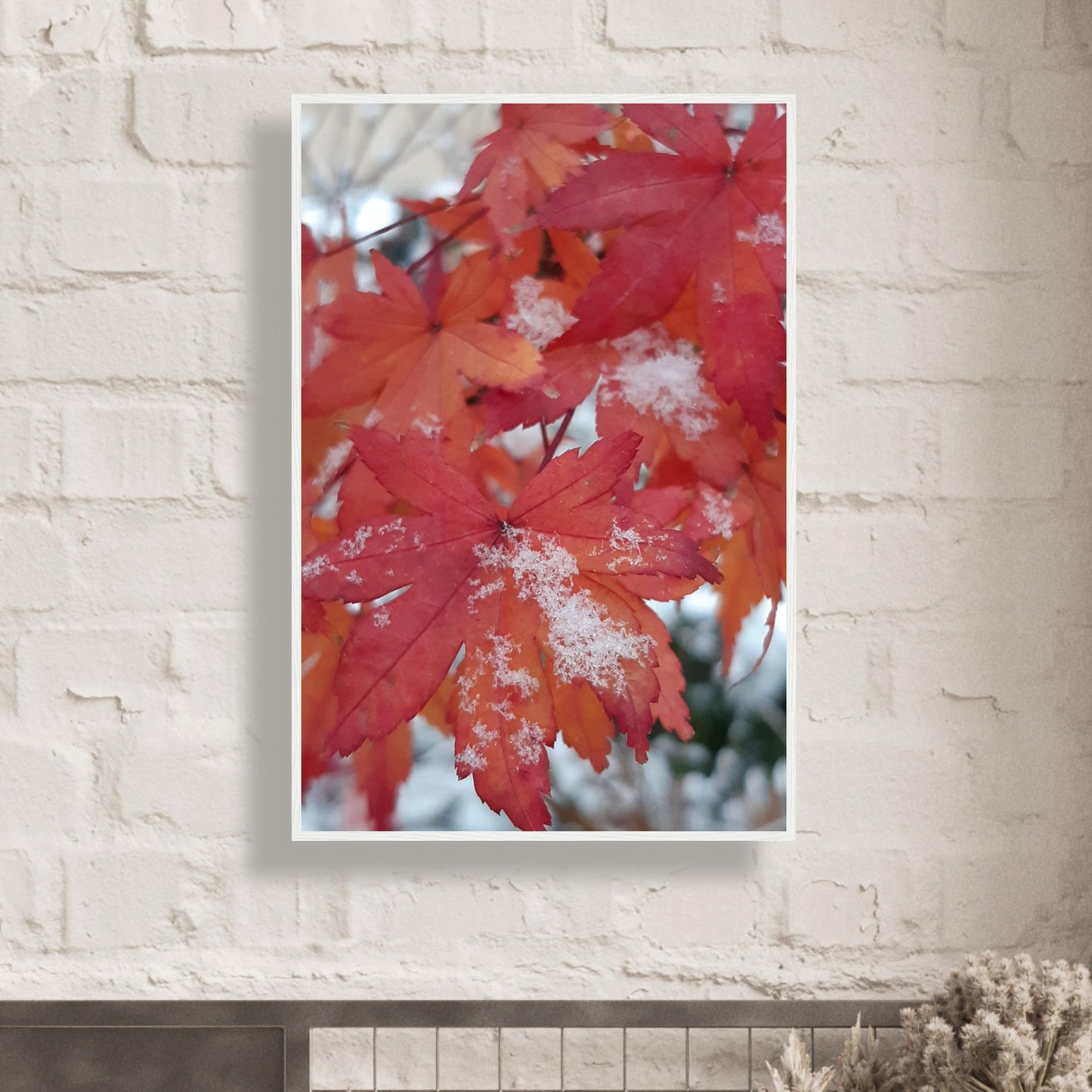 Snow-Kissed Maple Leaves - Framed Poster - JDivine