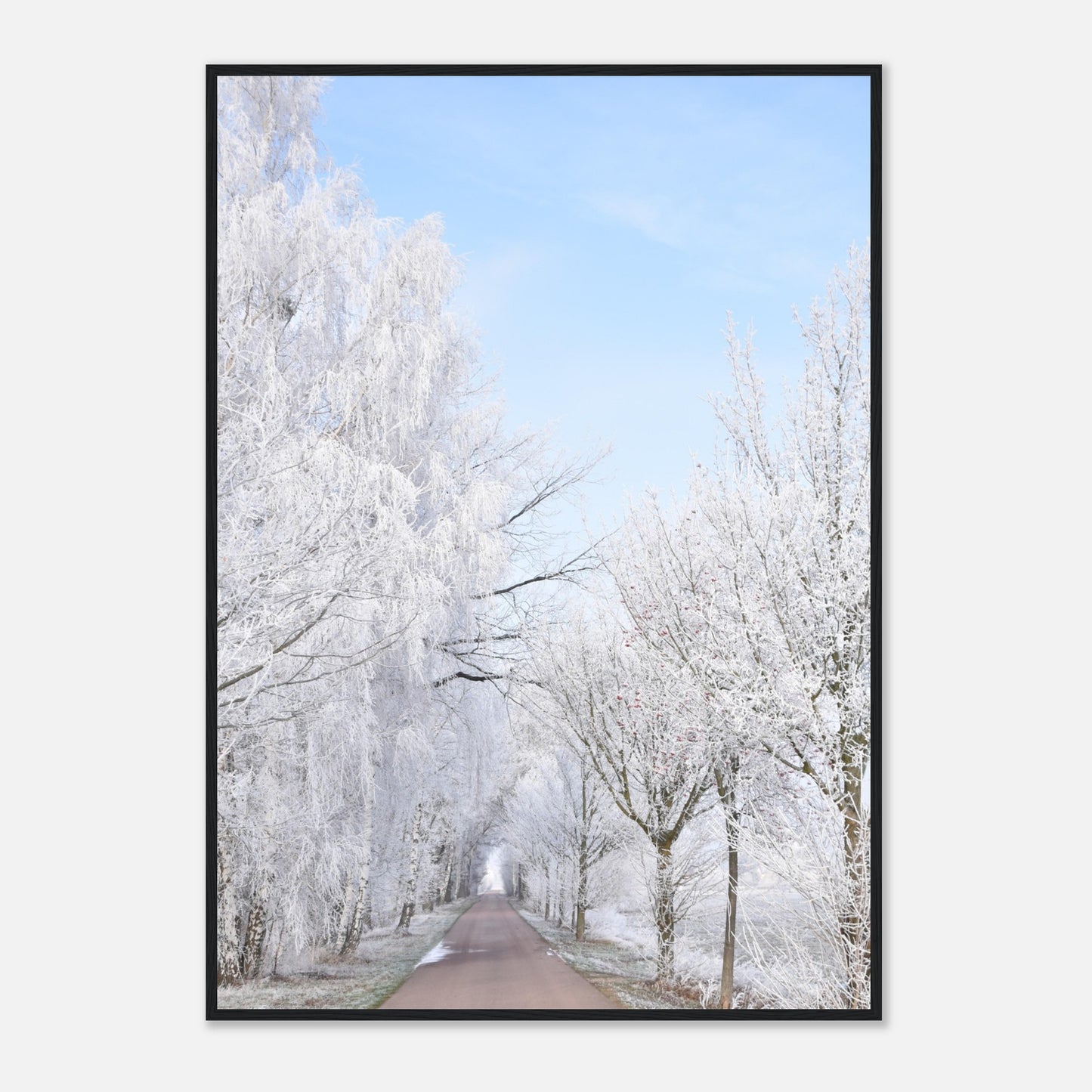 Winter's Silent Path - Framed Poster - JDivine