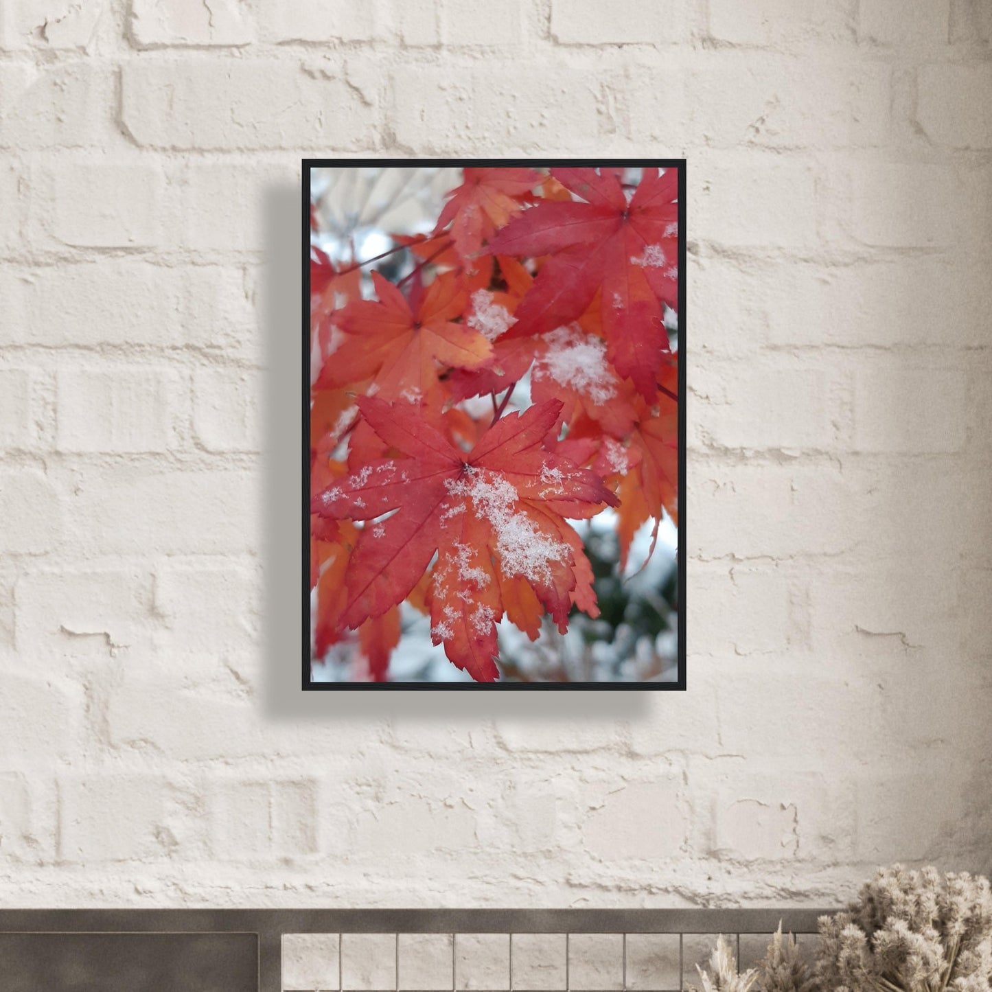 Snow-Kissed Maple Leaves - Framed Poster - JDivine