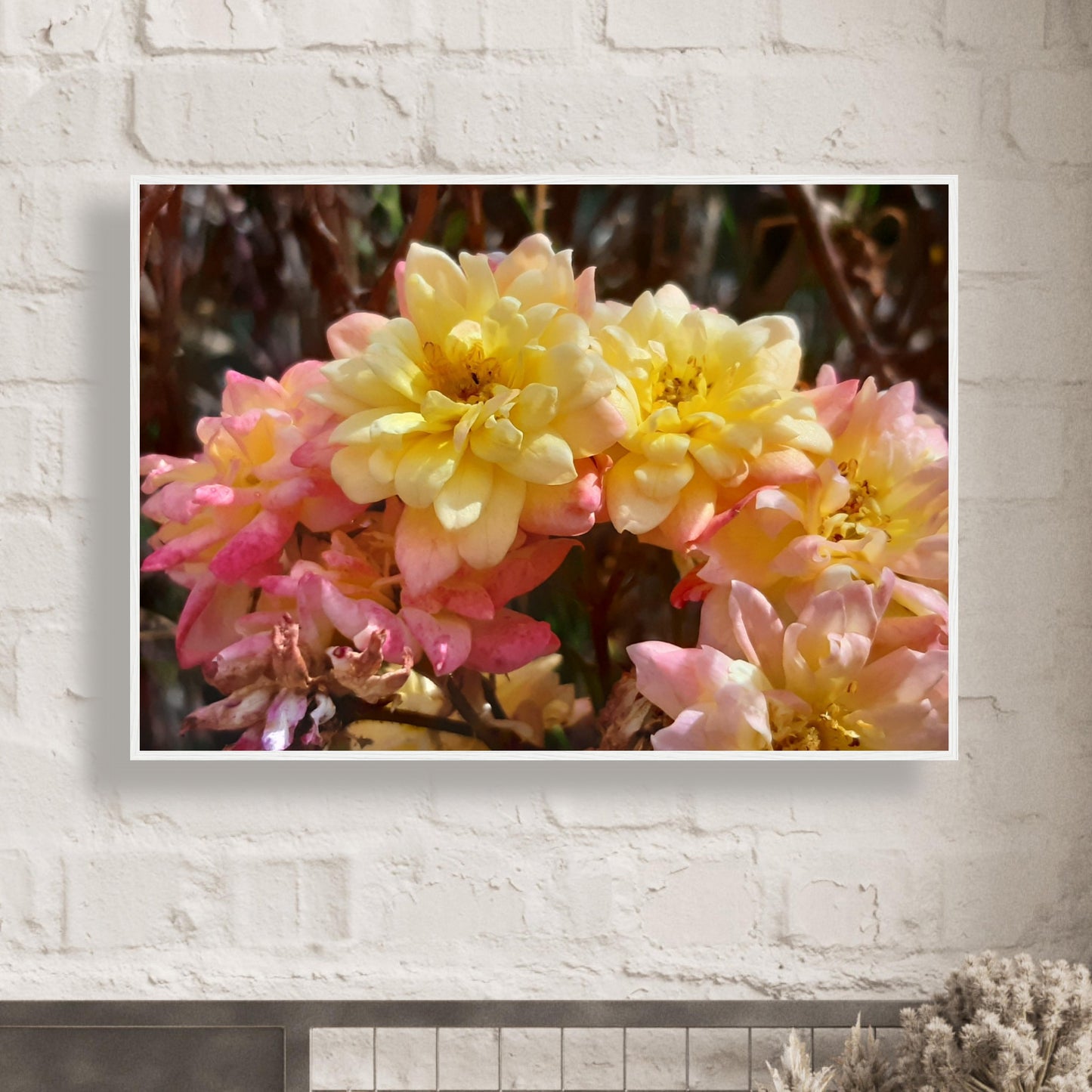 Soft Bloom Harmony - Framed Poster - JDivine
