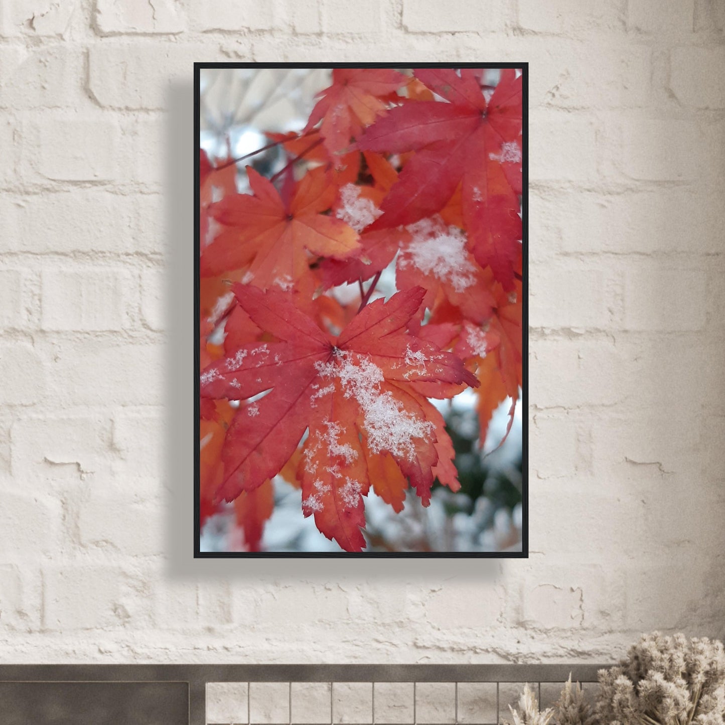 Snow-Kissed Maple Leaves - Framed Poster - JDivine