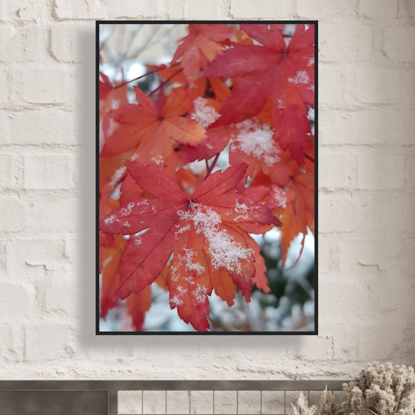 Snow-Kissed Maple Leaves - Framed Poster - JDivine