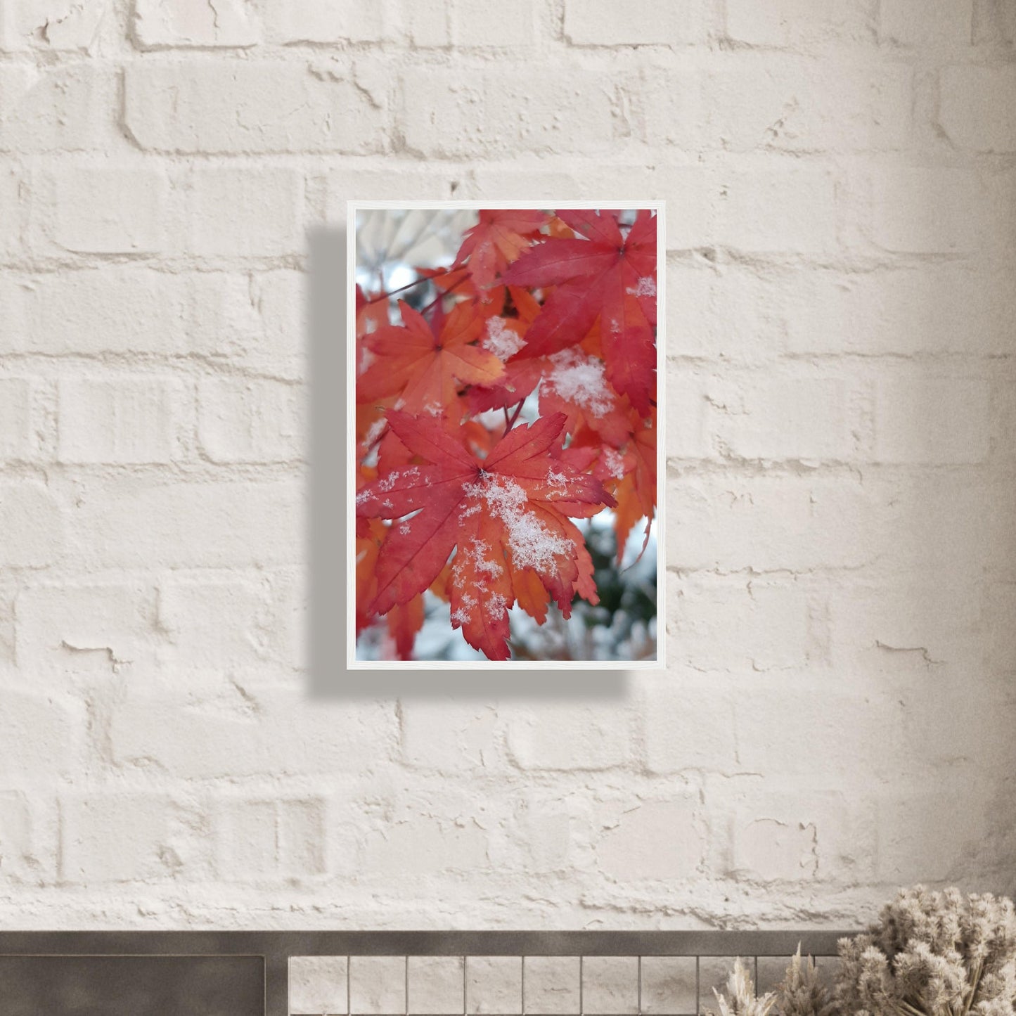 Snow-Kissed Maple Leaves - Framed Poster - JDivine