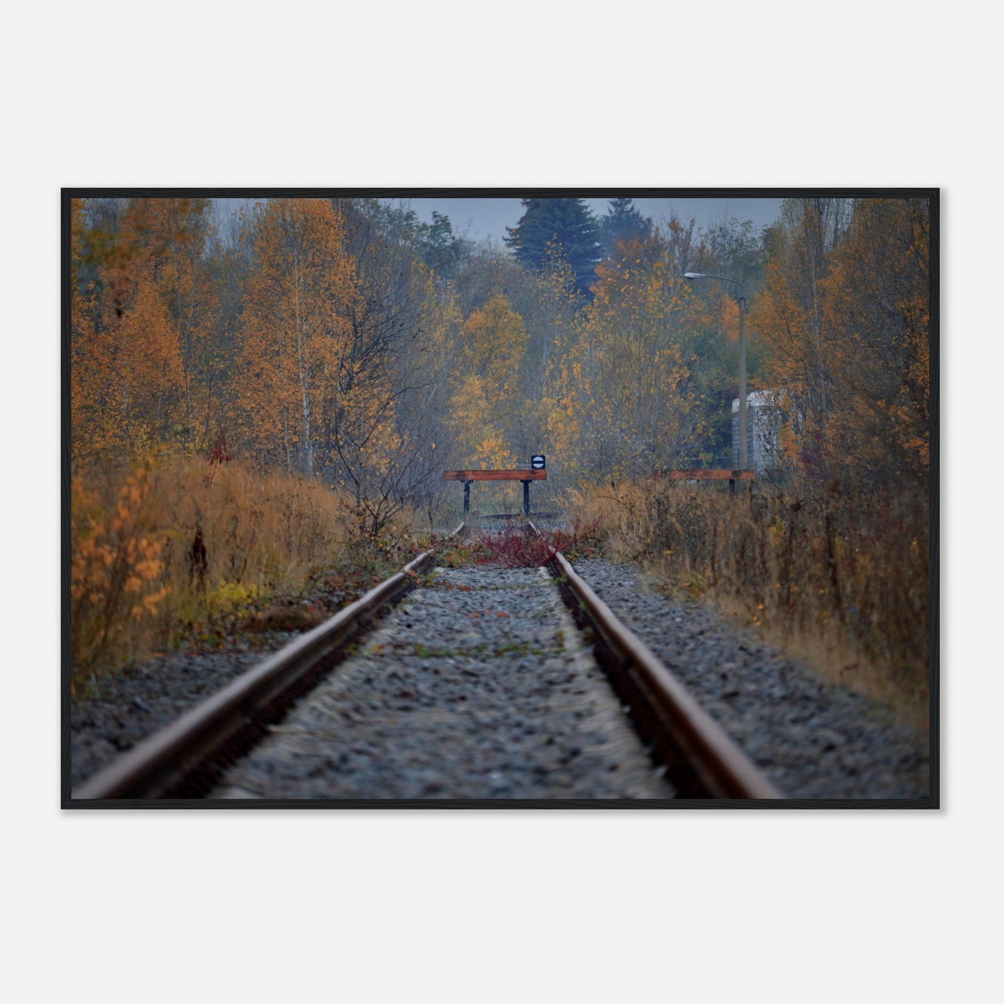 Abandoned Tracks - Framed Poster - JDivine