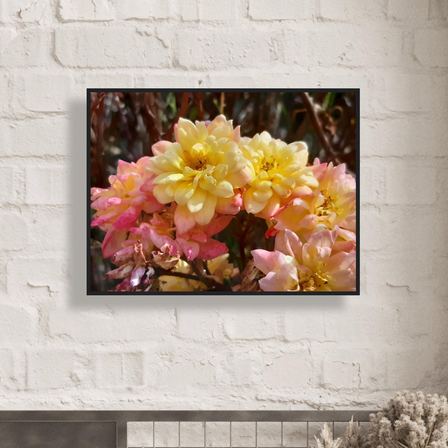 Soft Bloom Harmony - Framed Poster - JDivine
