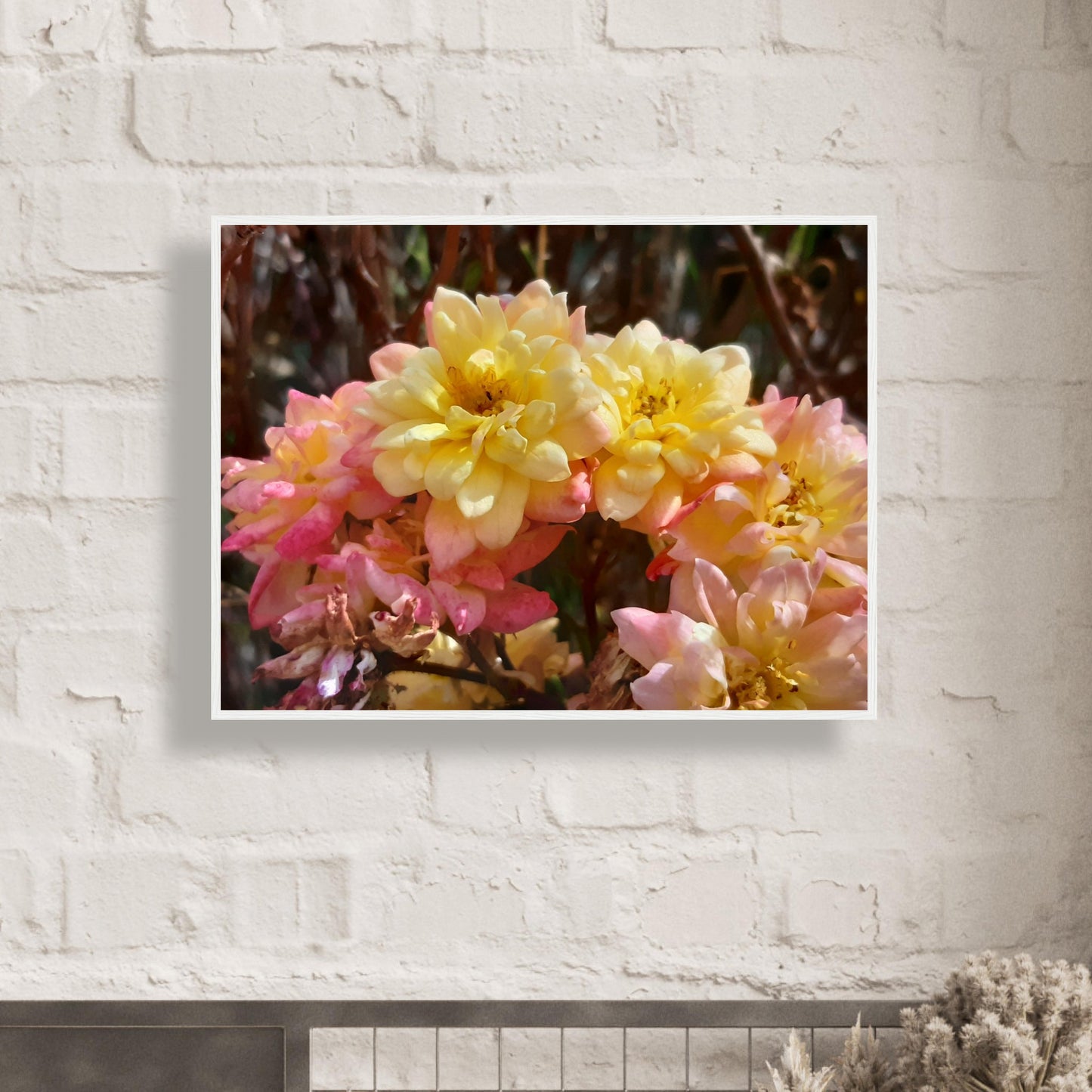 Soft Bloom Harmony - Framed Poster - JDivine