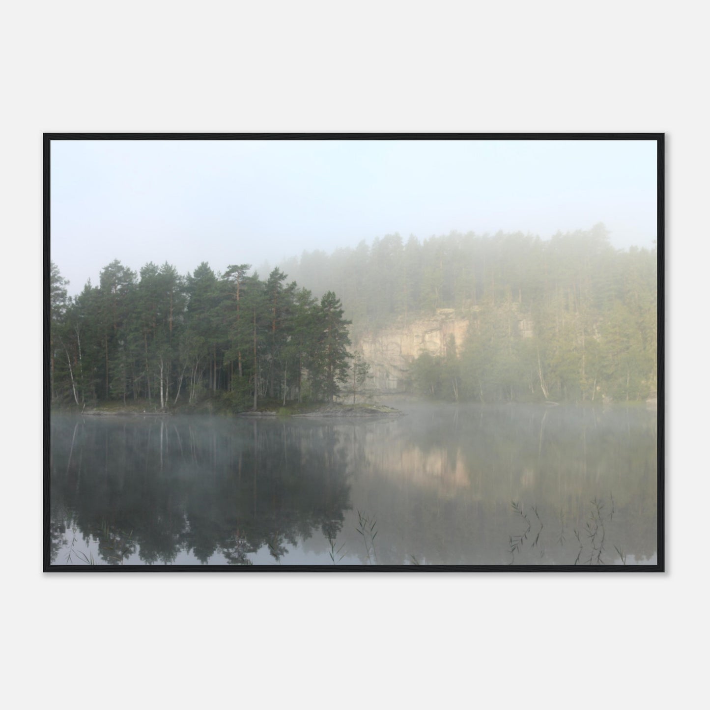 Enchanted Fog - Framed Poster - JDivine