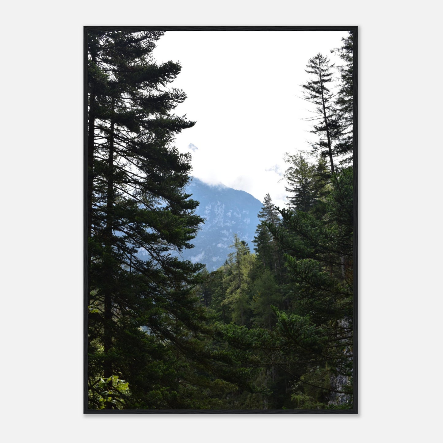 Veiled Ascent - Framed Poster - JDivine