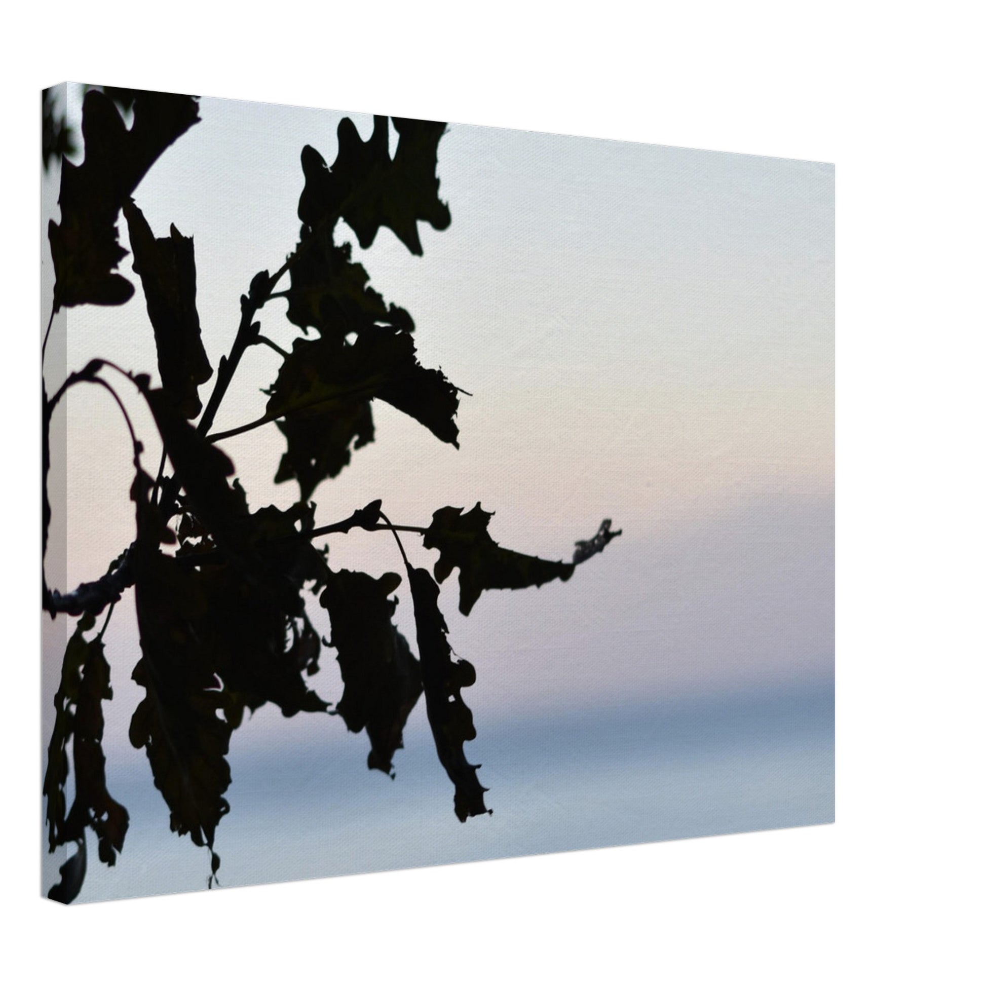 Twilight Whispers - Canvas - JDivine 