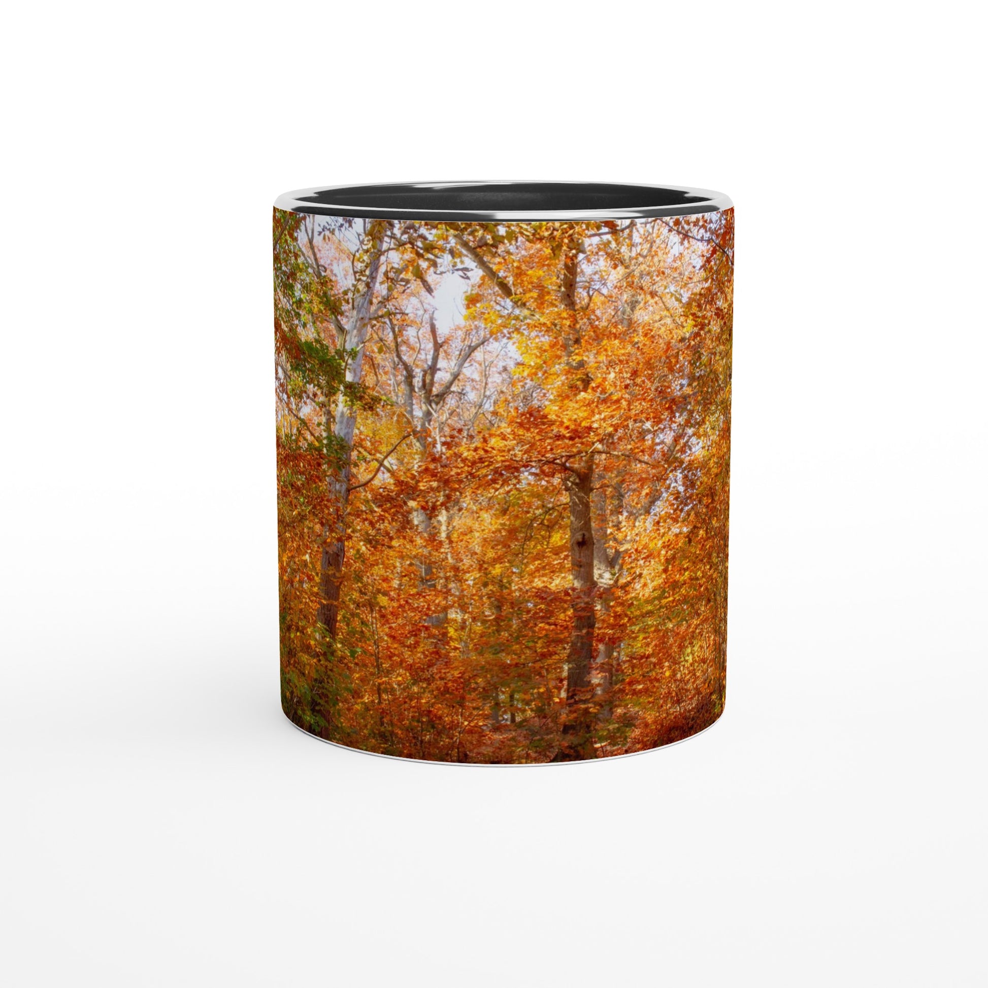 Enchanted Autumn - Mug - JDivine 