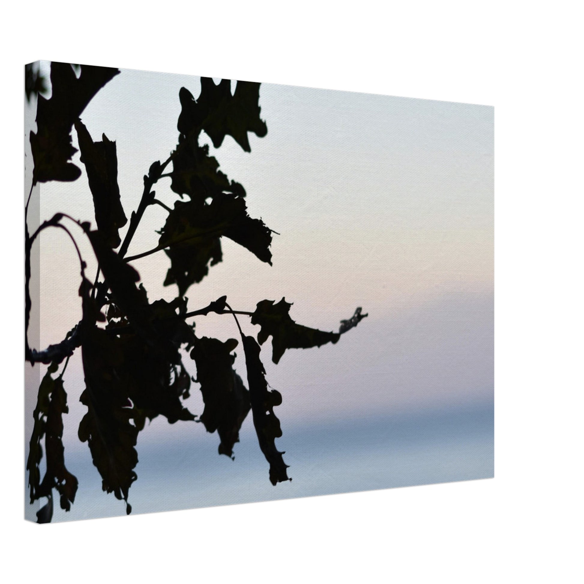 Twilight Whispers - Canvas - JDivine 