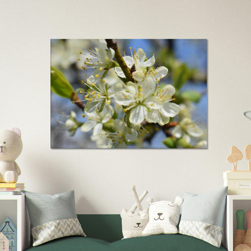 First Light of Spring - Canvas - JDivine 