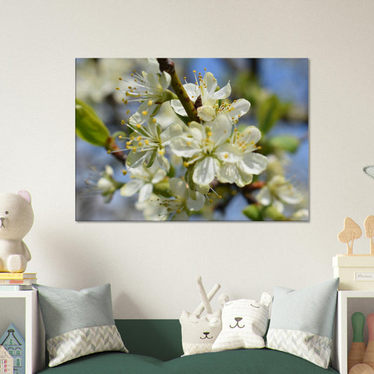 First Light of Spring - Canvas - JDivine 