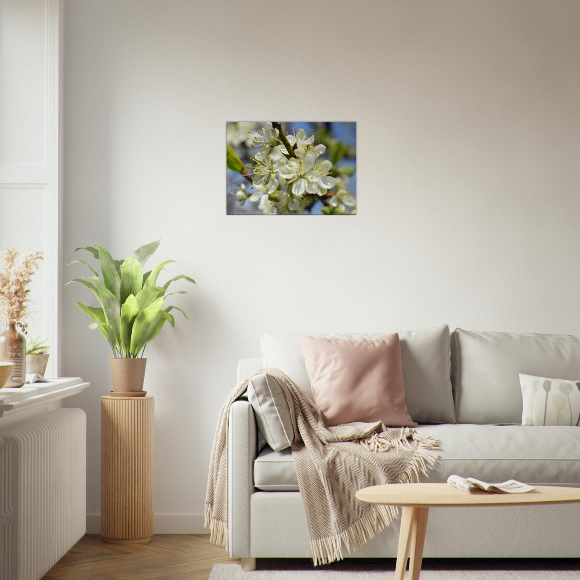First Light of Spring - Canvas - JDivine 
