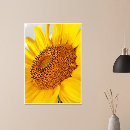 Golden Glow of Summer - Framed Poster - JDivine 