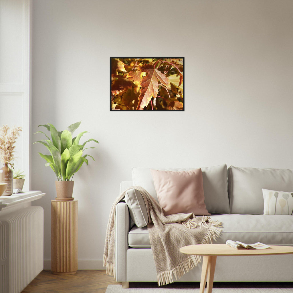 Autumn's Golden Glow - Framed Poster - JDivine 