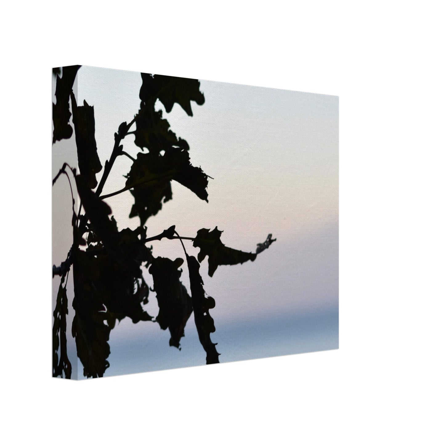 Twilight Whispers - Canvas - JDivine 