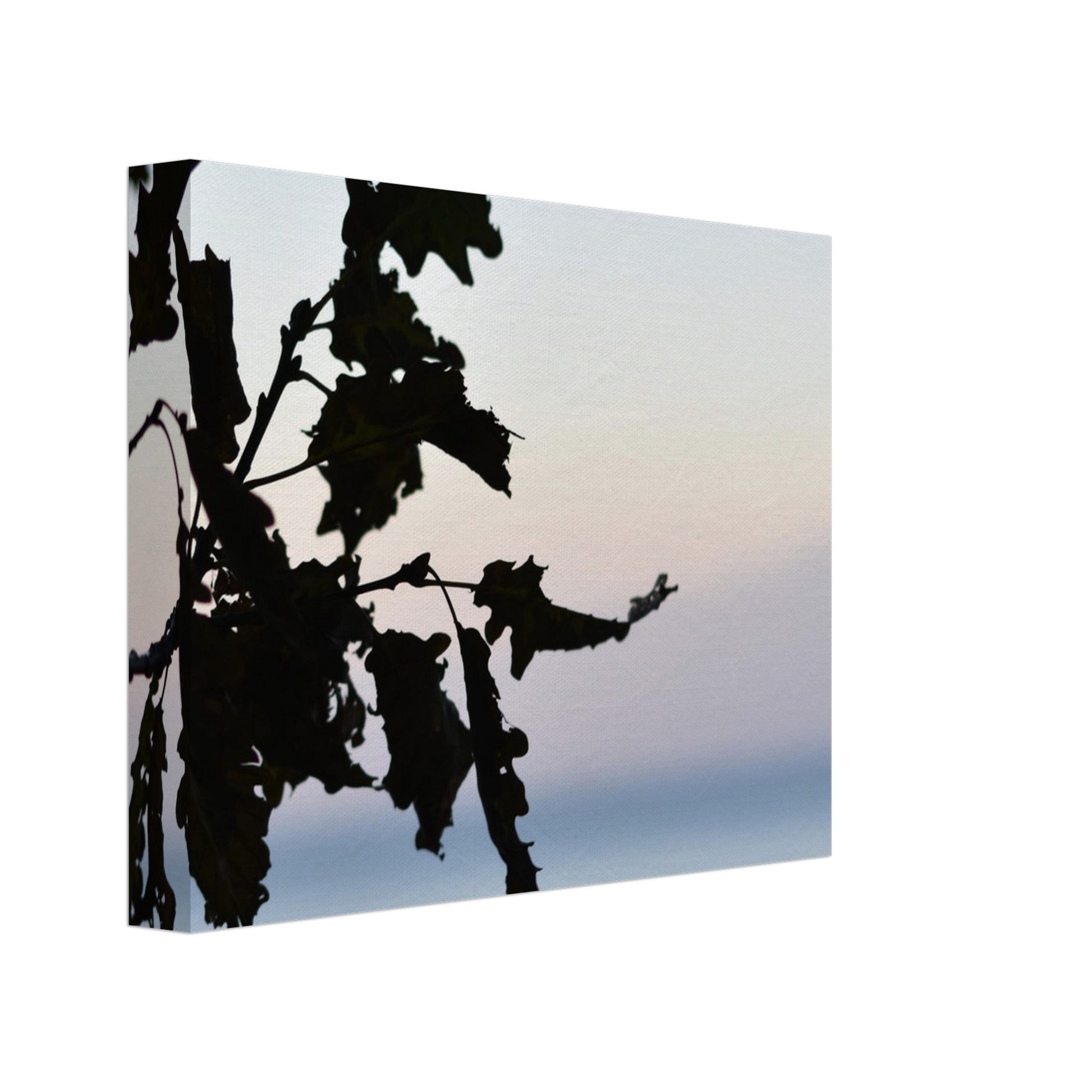 Twilight Whispers - Canvas - JDivine 