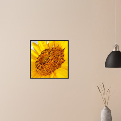Golden Glow of Summer - Framed Poster - JDivine 
