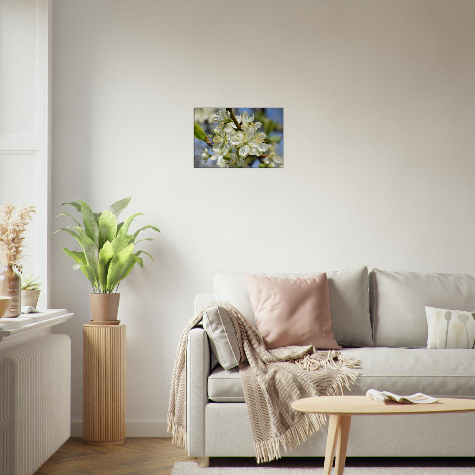 First Light of Spring - Canvas - JDivine 