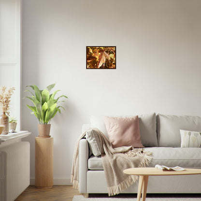 Autumn's Golden Glow - Framed Poster - JDivine 