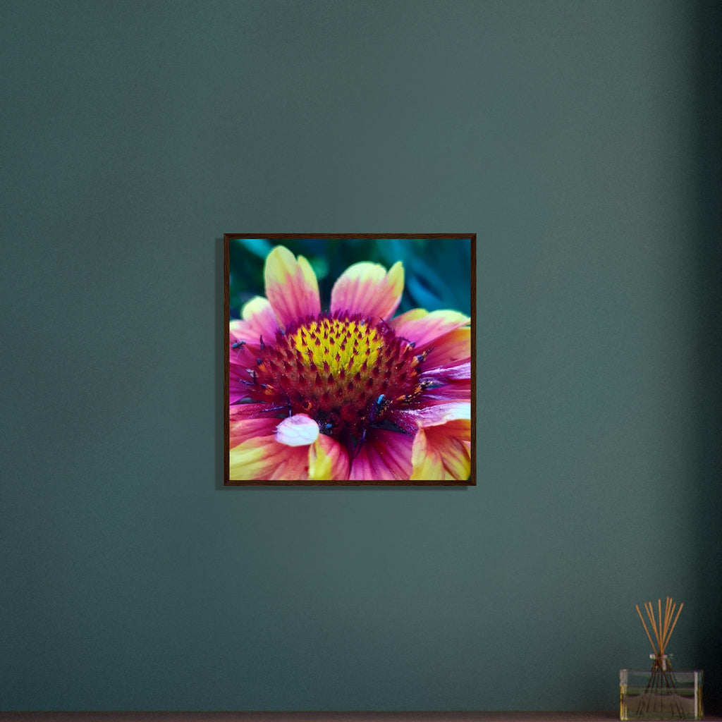Vibrant Petal Symphony - Framed Poster - JDivine 