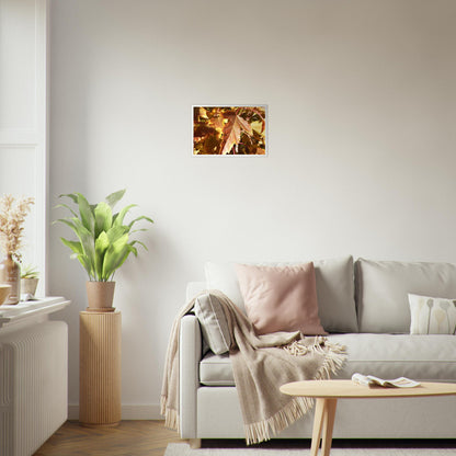 Autumn's Golden Glow - Framed Poster - JDivine 