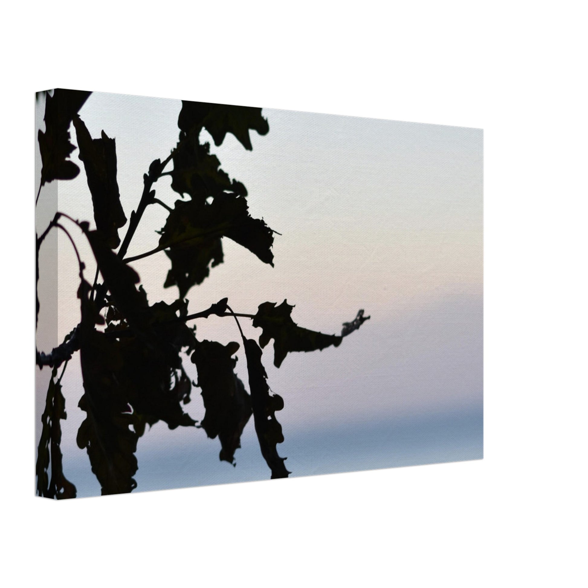 Twilight Whispers - Canvas - JDivine 