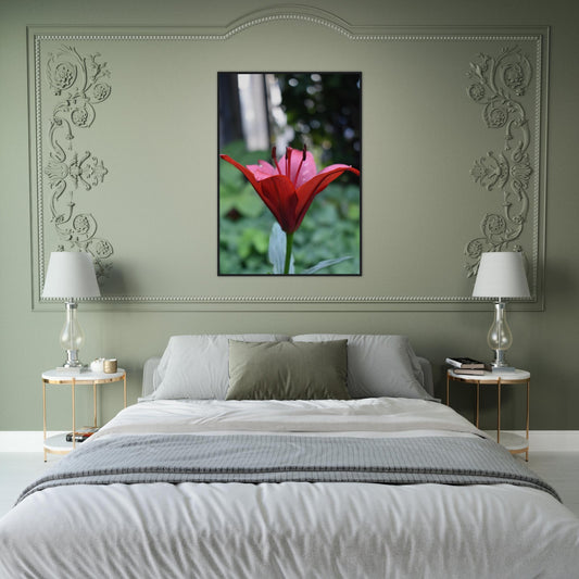 Crimson Embrace - Framed Poster - JDivine 