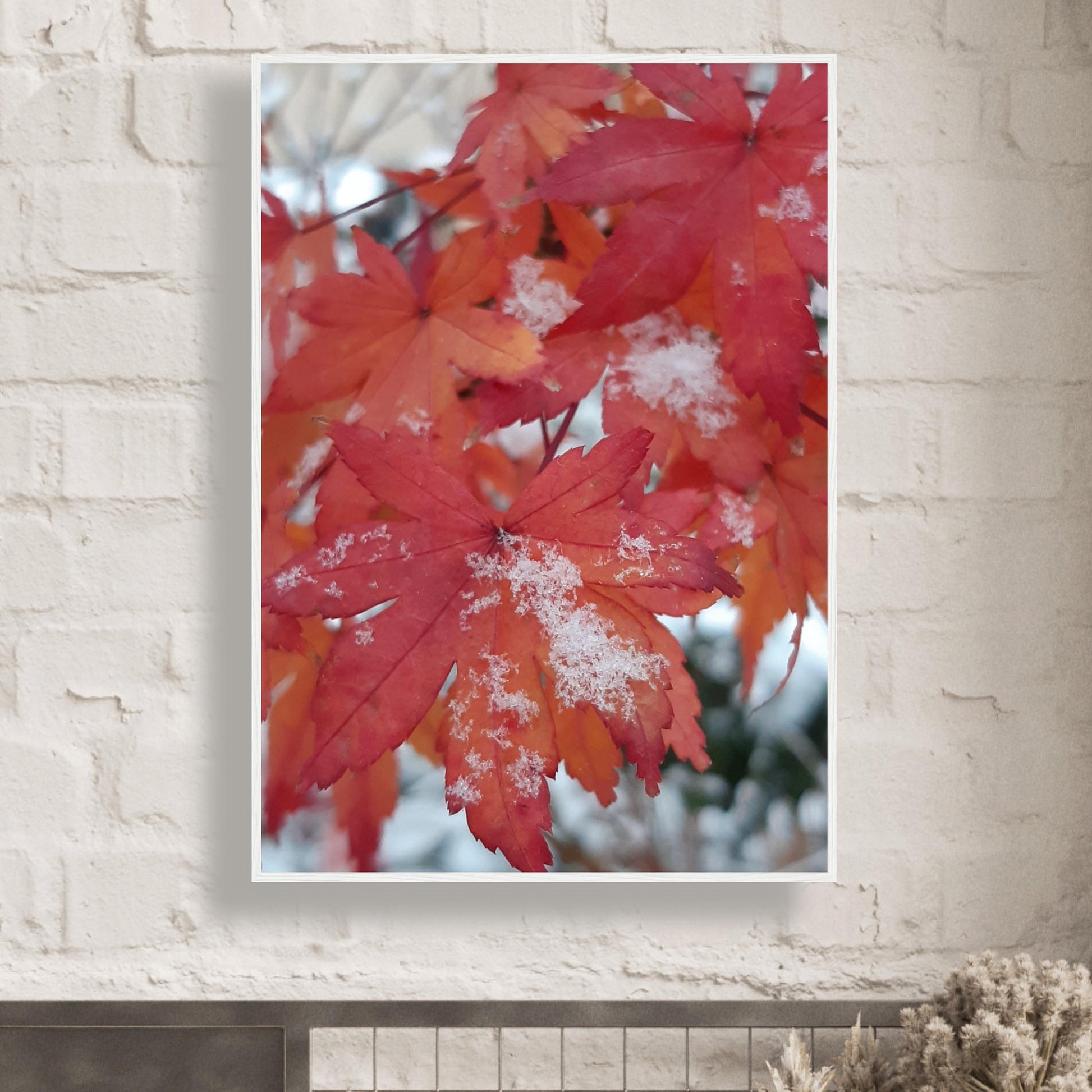 Snow-Kissed Maple Leaves - Framed Poster - JDivine 