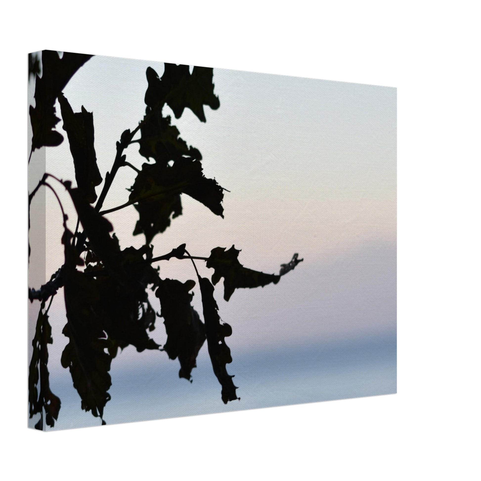 Twilight Whispers - Canvas - JDivine 