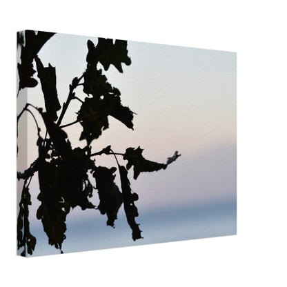 Twilight Whispers - Canvas - JDivine 