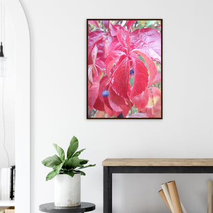 The Essence of Fall: Crimson and Blue - Framed Poster - JDivine 