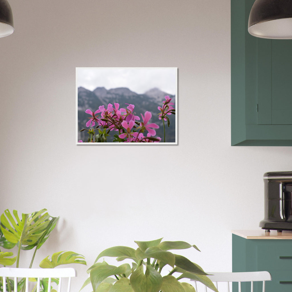 Alpine Bloom - Framed Poster - JDivine 