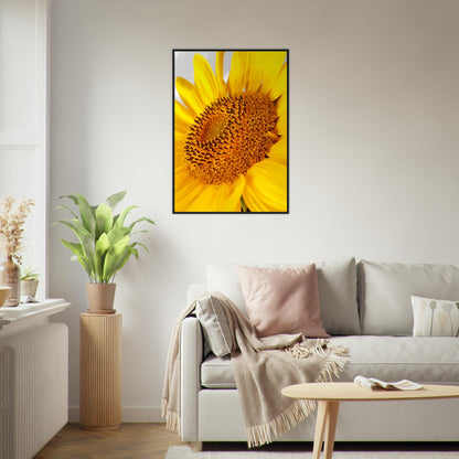 Golden Glow of Summer - Framed Poster - JDivine 