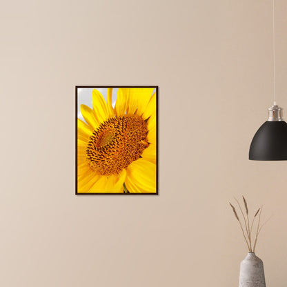Golden Glow of Summer - Framed Poster - JDivine 