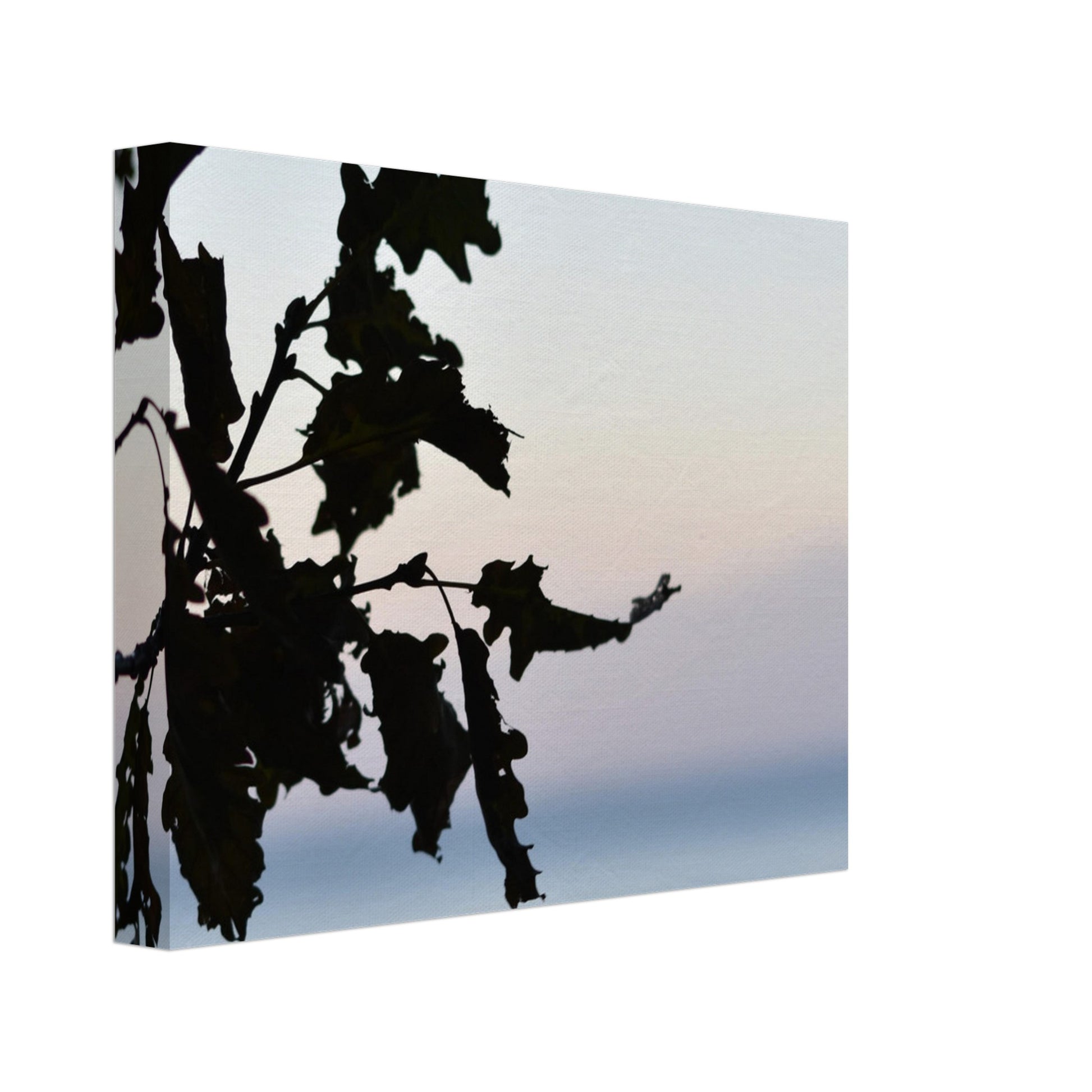 Twilight Whispers - Canvas - JDivine 