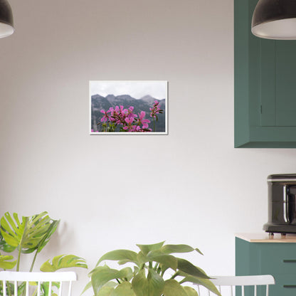 Alpine Bloom - Framed Poster - JDivine 