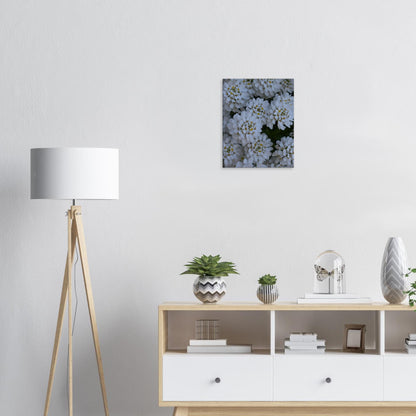 Blossom Delicacy - Canvas - JDivine 