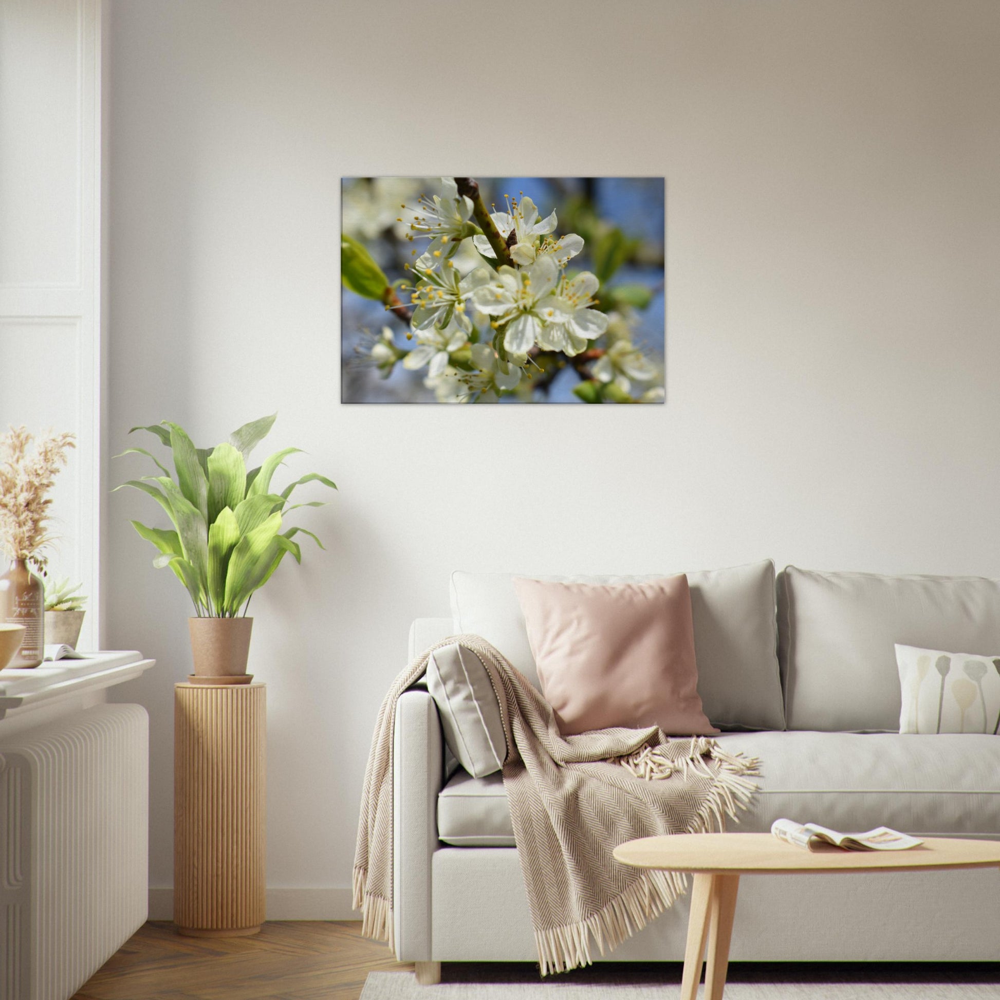 First Light of Spring - Canvas - JDivine 
