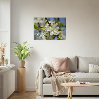 First Light of Spring - Canvas - JDivine 
