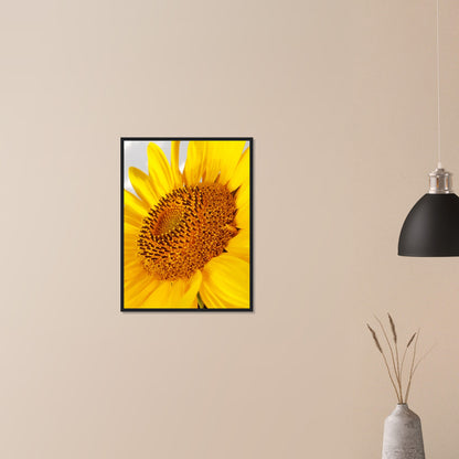 Golden Glow of Summer - Framed Poster - JDivine 