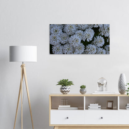 Blossom Delicacy - Canvas - JDivine 