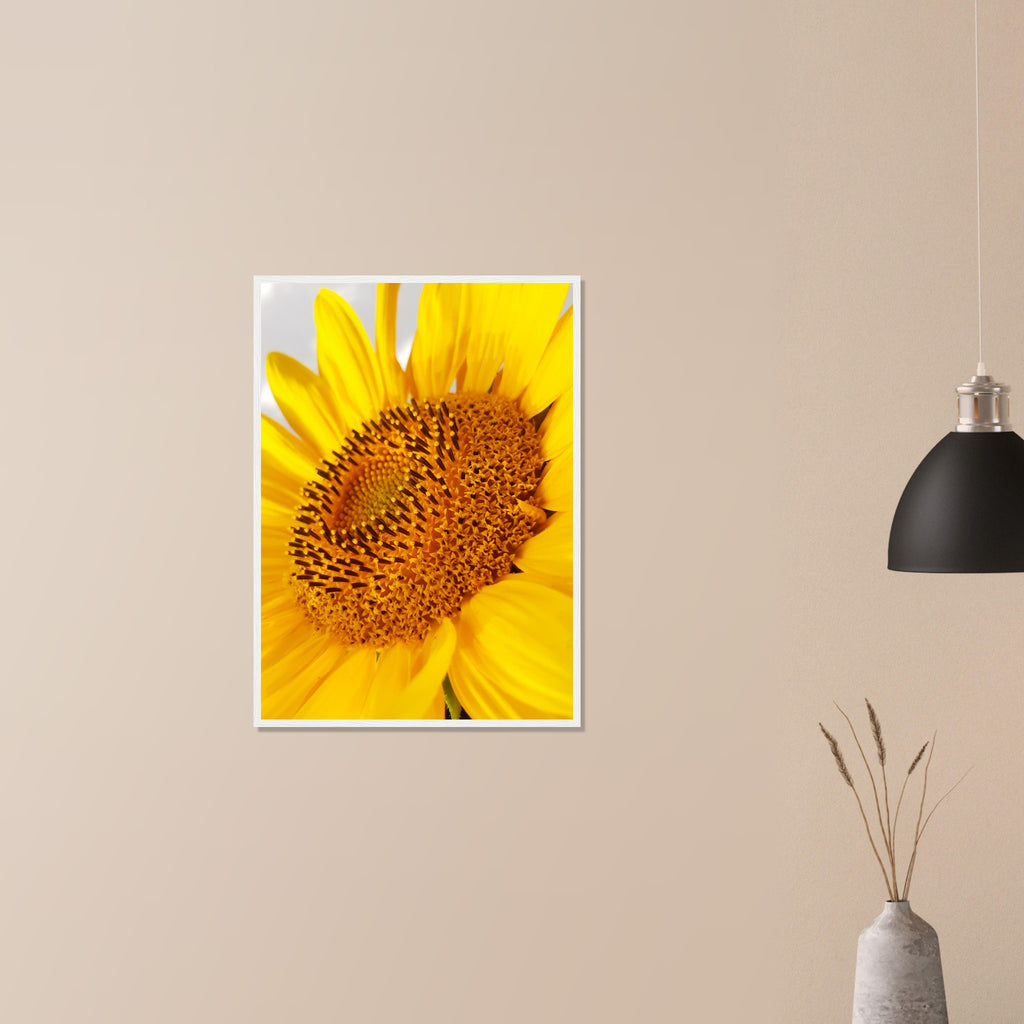 Golden Glow of Summer - Framed Poster - JDivine 