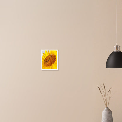 Golden Glow of Summer - Framed Poster - JDivine 