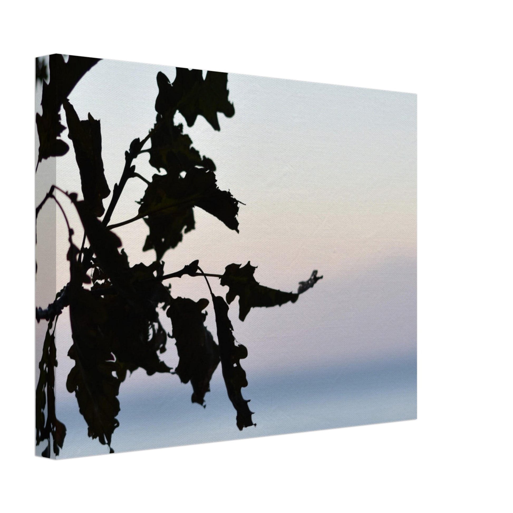 Twilight Whispers - Canvas - JDivine 