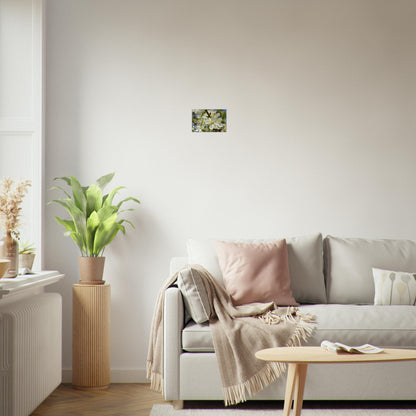 First Light of Spring - Canvas - JDivine 